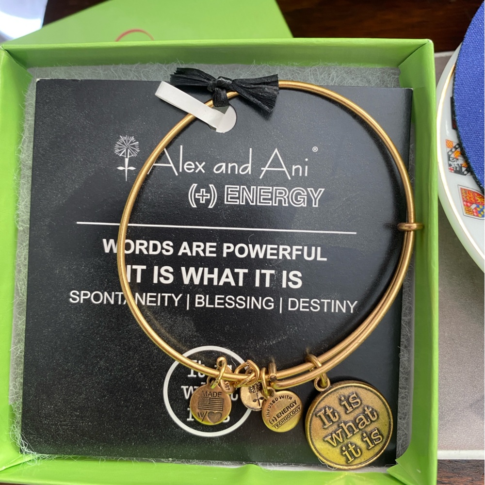 Alex and Ani Gold Tone Charm Bracelet IT IS WHAT IT IS NIB w tag